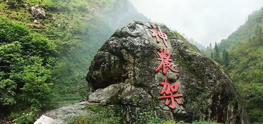 高清组图:备战春运,动车从“头”到“脚”忙体检